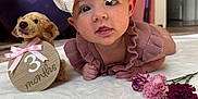 Rosaleigh joined the competition — help win amazing prizes! baby, bow, flower, plush_dog, blanket, clothing, infant, face, headwear, pink, purple, room, toy, soft_toy, tummy_time, cute, child, indoor, decor, portrait