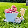 baby, pink_dress, bucket, grass, outdoor, toy, teddy_bear, headband, beads, vase, dried_flowers, greenery, tree, blanket, cute, child, summer, nature, playful, portrait