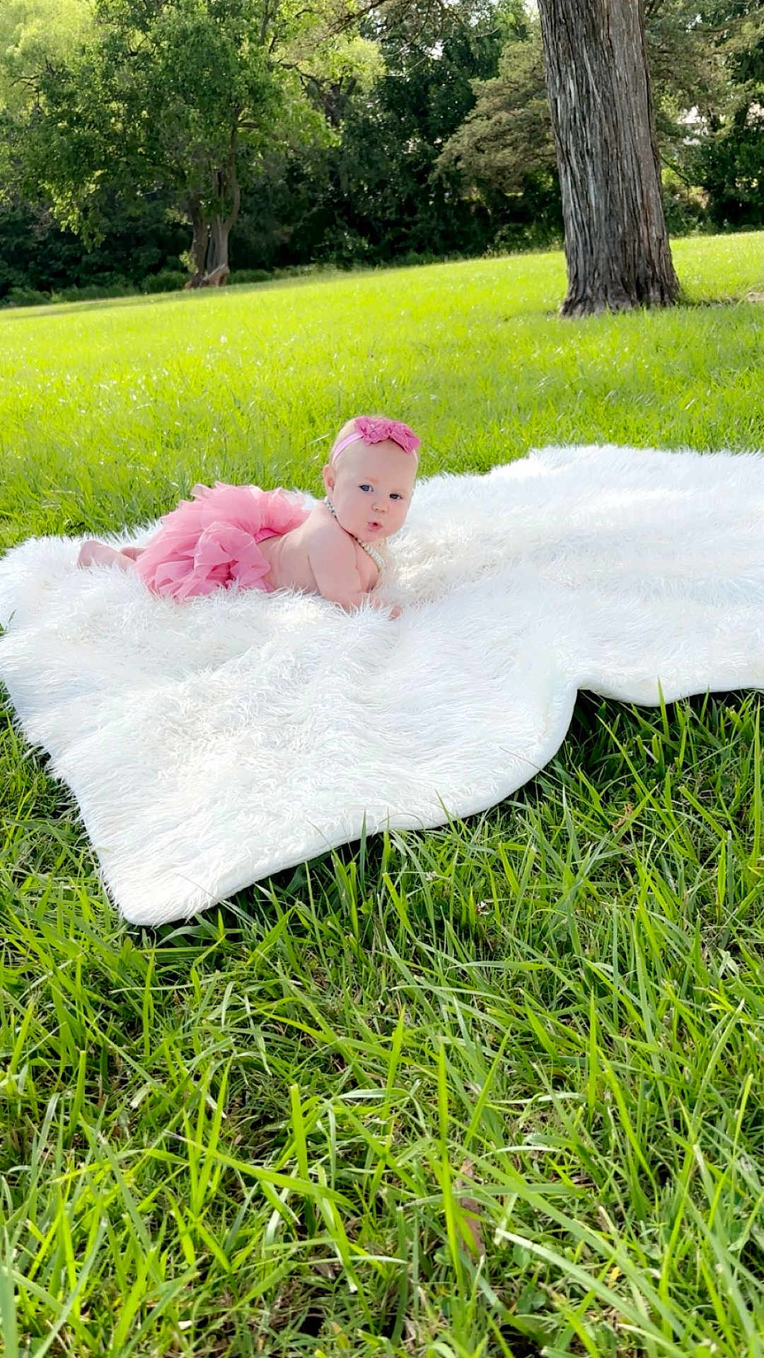 Emmalee is registered to the contest to win money with this photo: baby, pink_tutu, headband, blanket, grass, outdoor, child, park, cute, pucker_face, sunlight, greenery, tree, nature, infant, playtime, summer, fluffy_blanket, portrait, baby_girl