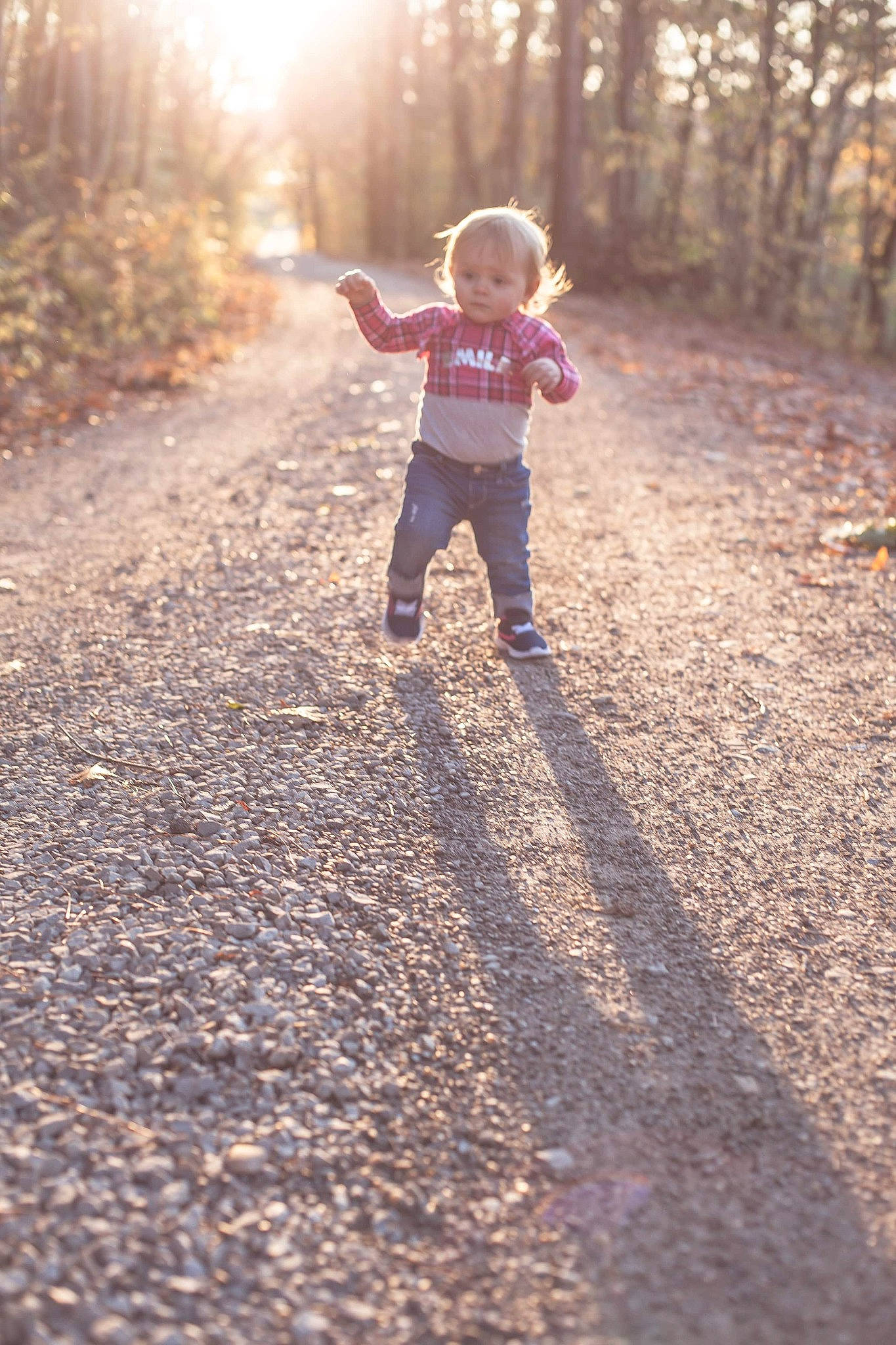 Leela is registered to the contest to win money with this photo: autumn, child, forest, fun, grass, leaf, light, morning, people_in_nature, person, photograph, photography, play, shadow, sky, snapshot, standing, sunlight, toddler, tree