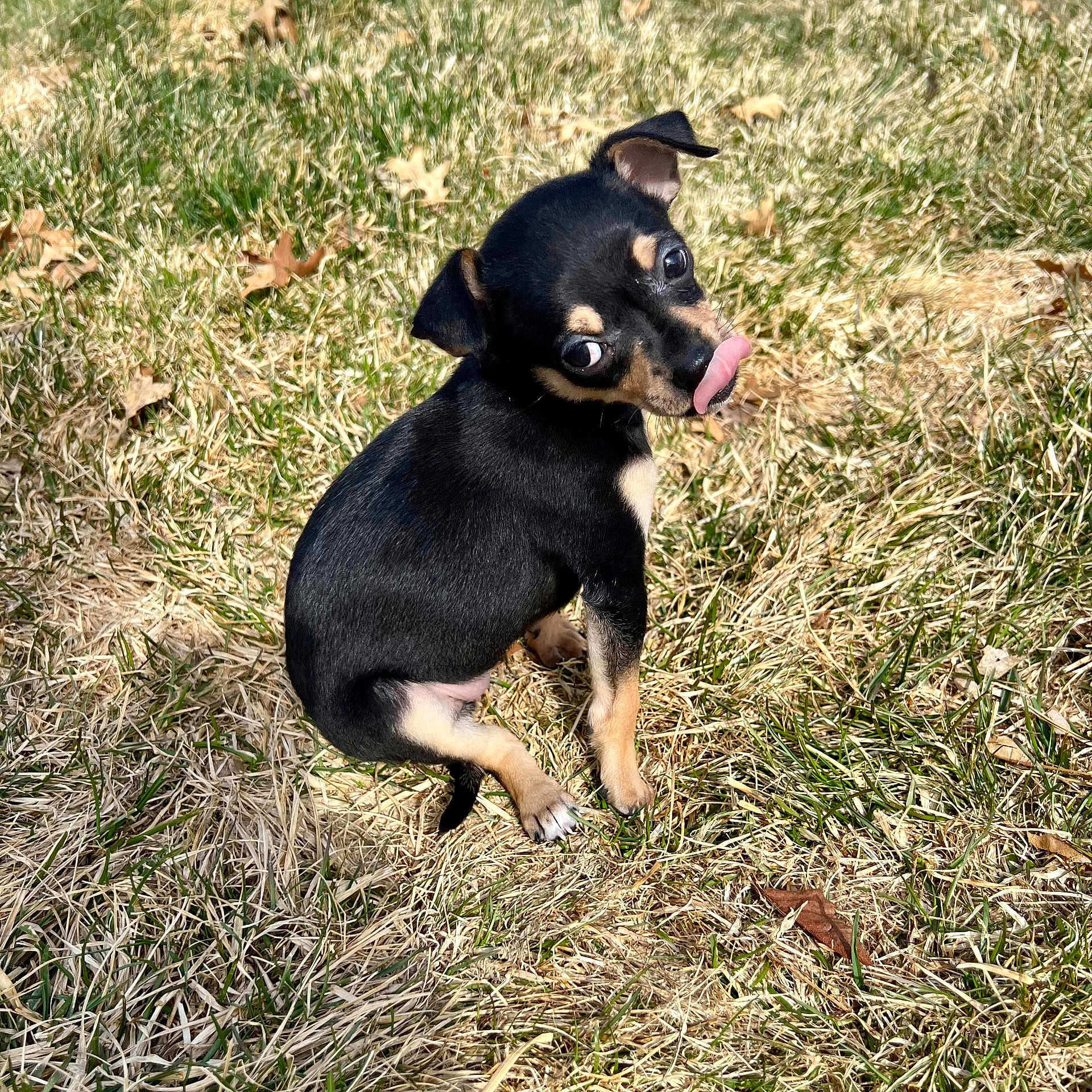 Parker