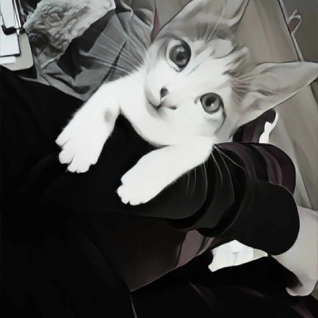 Meows