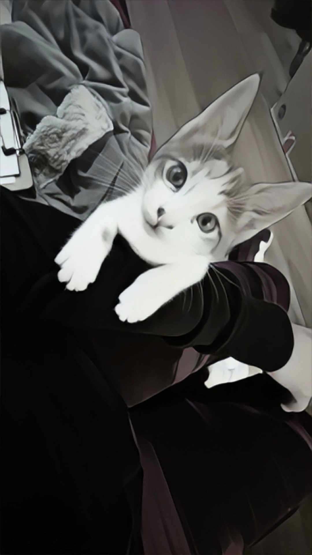 Meows