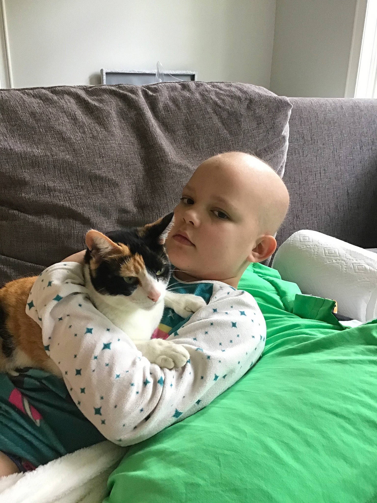 Polly joined the competition — help win amazing prizes! baby, canidae, carnivore, cat, child, comfort, companion_dog, couch, felidae, furniture, kitten, nap, small_to_medium_sized_cats, toddler