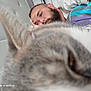 man, sleeping, cat, bed, pillow, blur, closeup, indoor, beard, rest, nap, feline, pet, headboard, casual, relaxation, human, animal, fur, comfort