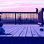 dog, cat, wooden_deck, railing, balcony, sunset, silhouette, sky, horizon, tree, mountains, pet_toy, outdoor, evening, deck_planks, porch, chair, fence_post, slipper, rail