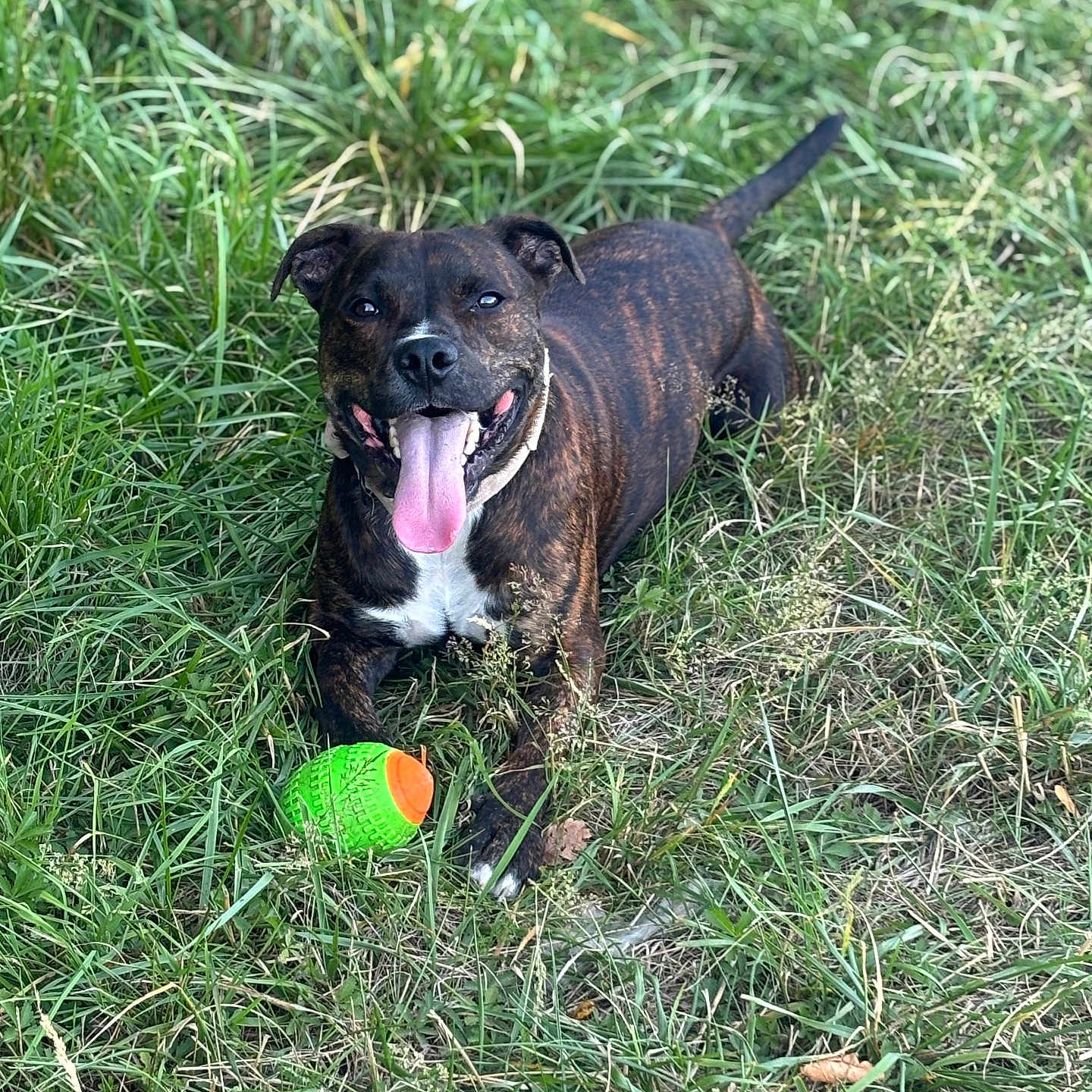 Tyson