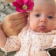 Lucy a rejoint le concours — aidez-le/la à gagner de superbes lots ! baby, flower, hand, pink, tongue, cute, infant, person, skin, face, clothing, soft, closeup, watch, accessory, holding, floral, expression, parent, outdoor