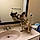 Blayze