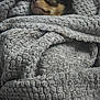 animal, blanket, comfort, cozy, cute, dog, face, fur, fur_color, indoors, nap, pet, relaxation, rest, sleeping, small_dog, snug, texture, warm, wrapped