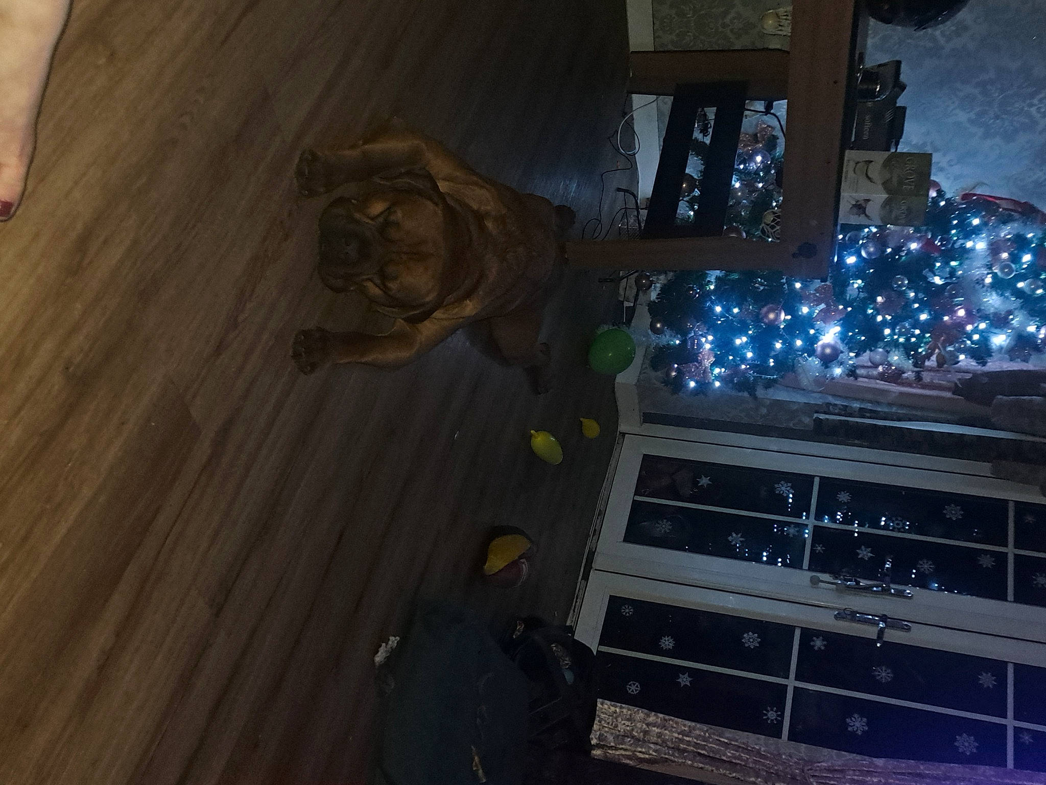 Rigby is registered to the contest to win money with this photo: audio_equipment, automotive_lighting, building, city, computer_hardware, electric_blue, electrical_wiring, electricity, flooring, hardwood, laminate_flooring, machine, plank, plywood, sky, tree, varnish, wood, wood_flooring, wood_stain