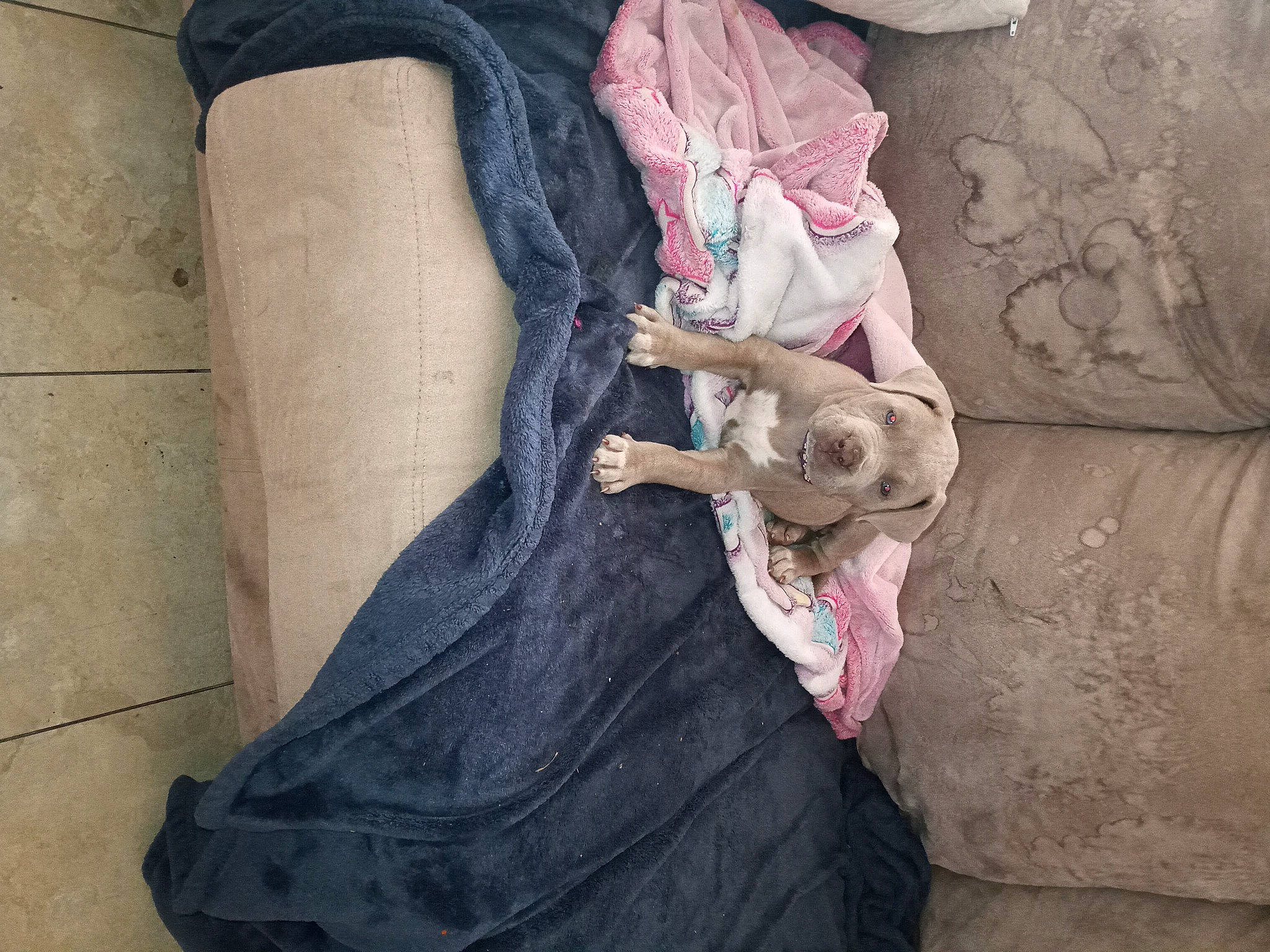 Daisy is registered to the contest to win money with this photo: art, concrete, denim, dress, flesh, fur, grey, human_leg, knee, leg, pink, sculpture, sitting, thigh, toy, tree, vintage_clothing, visual_arts, waist, wood