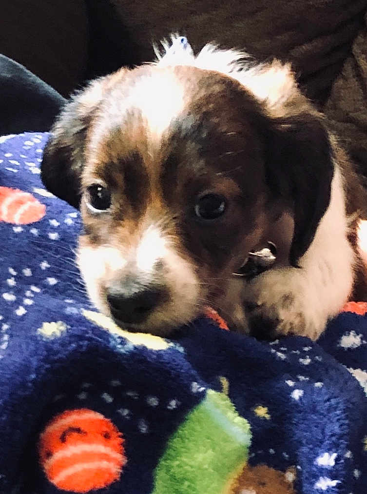 Tucker