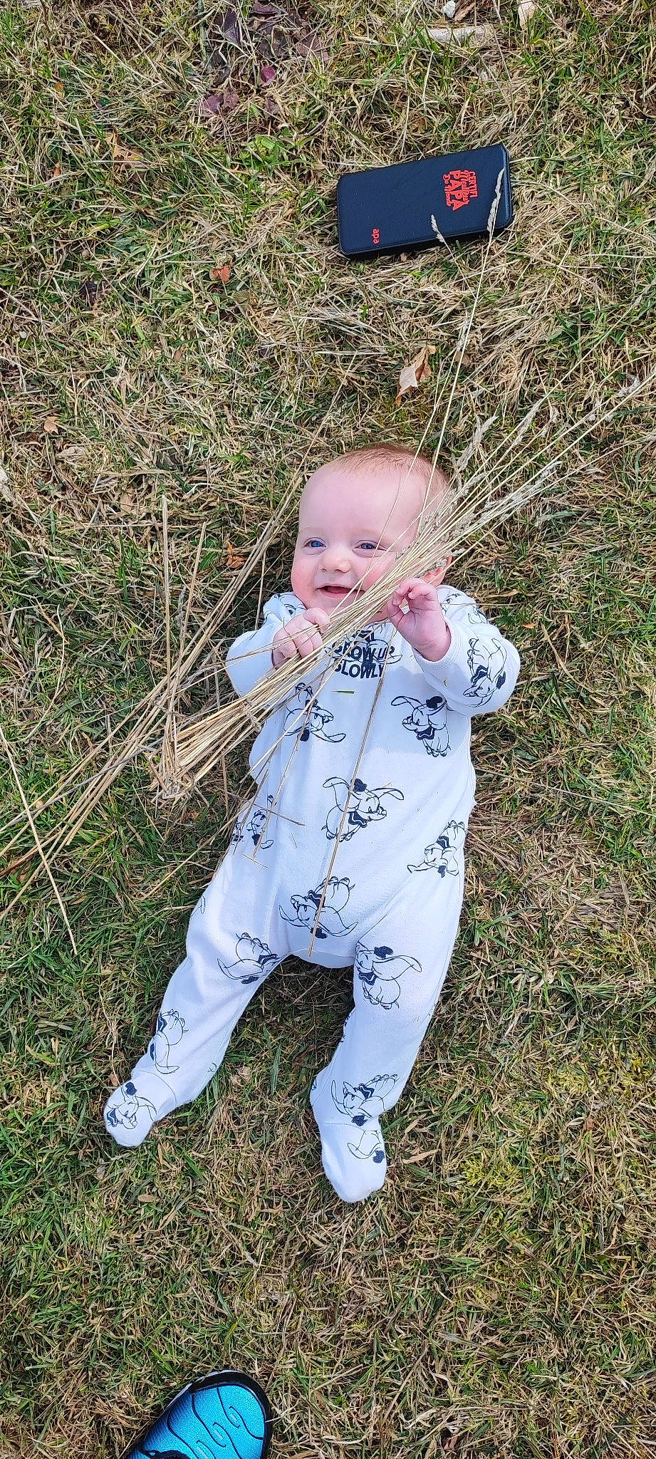 Maëlo a rejoint le concours — aidez-le/la à gagner de superbes lots ! baby, baby_toddler_clothing, child, eye, fun, grass, grass_family, grassland, happy, head, lawn, mammal, people_in_nature, person, play, playing_with_kids, sitting, sleeve, smile, soil