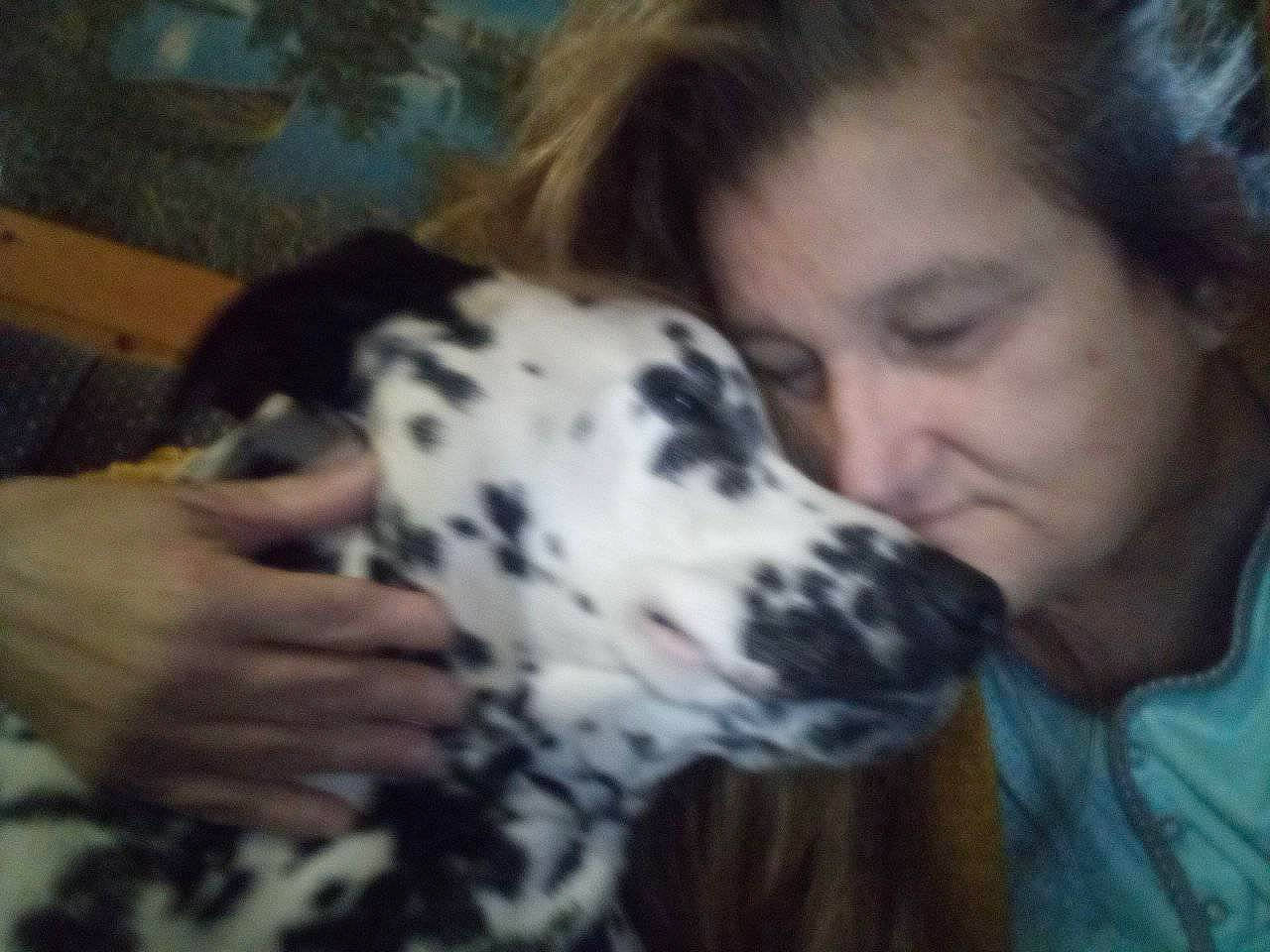 Calvin joined the competition — help win amazing prizes! canidae, carnivore, comfort, companion_dog, dalmatian, dog, dog_breed, ear, fawn, fur, happy, mammal, non_sporting_group, snout, sporting_group, terrestrial_animal, vertebrate, working_animal