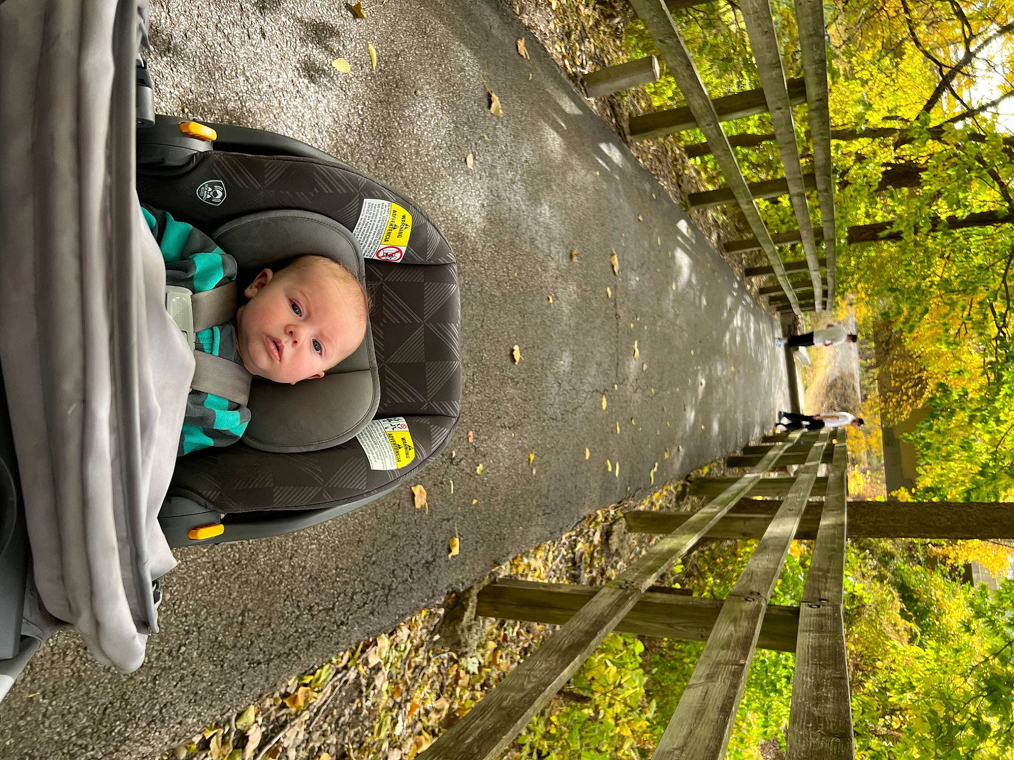 Azaiah joined the competition — help win amazing prizes! autumn, baby, baby_products, child, curtain, forest, fun, grass, leisure, luggage_and_bags, pedestrian, people_in_nature, person, plant, railway, recreation, toddler, track, tree, wood