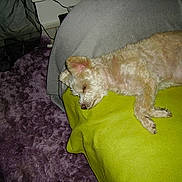 Ulysse participe au concours pour gagner de l'argent avec cette photo :