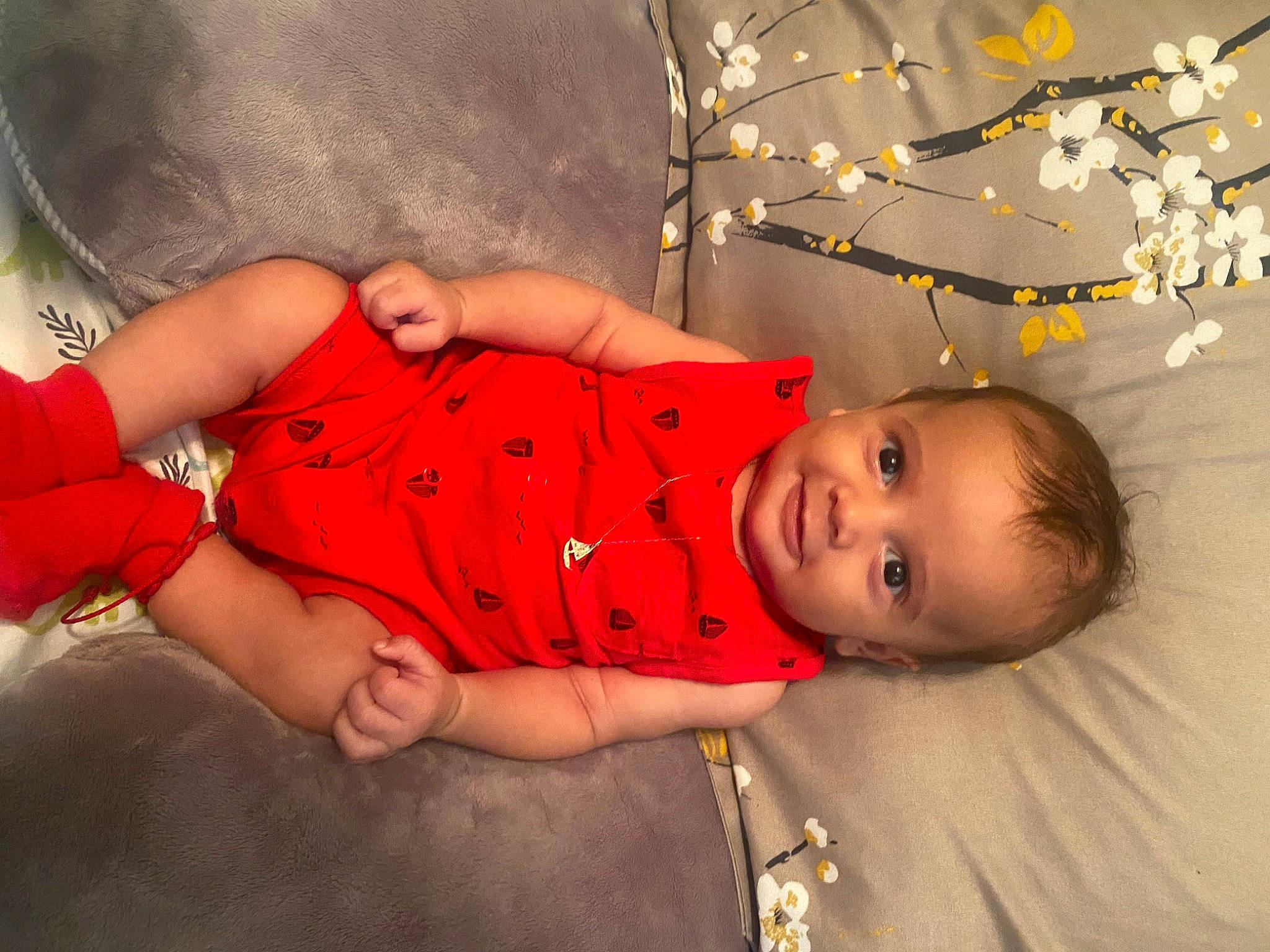 Lenyx is registered to the contest to win money with this photo: abdomen, baby, baby_toddler_clothing, child, christmas_ornament, fun, happy, holiday, human_leg, ornament, person, pink, plant, room, sitting, smile, thigh, toddler, tree, trunk