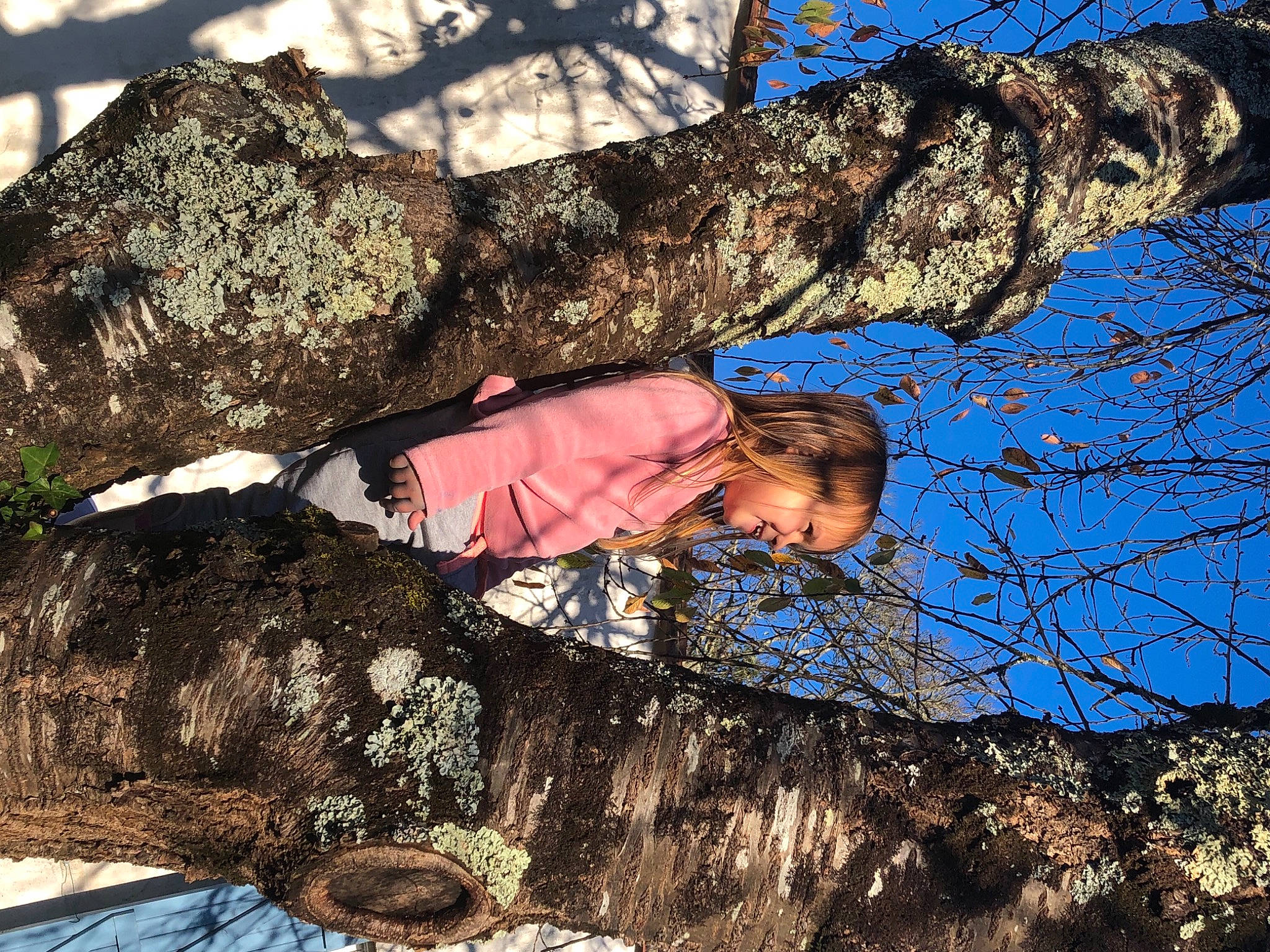 Kelya participe au concours pour gagner de l'argent avec cette photo : adaptation, branch, deciduous, electric_blue, forest, grass, happy, leaf, leisure, natural_landscape, organism, people_in_nature, person, plant, sky, tree, trunk, twig, winter, wood