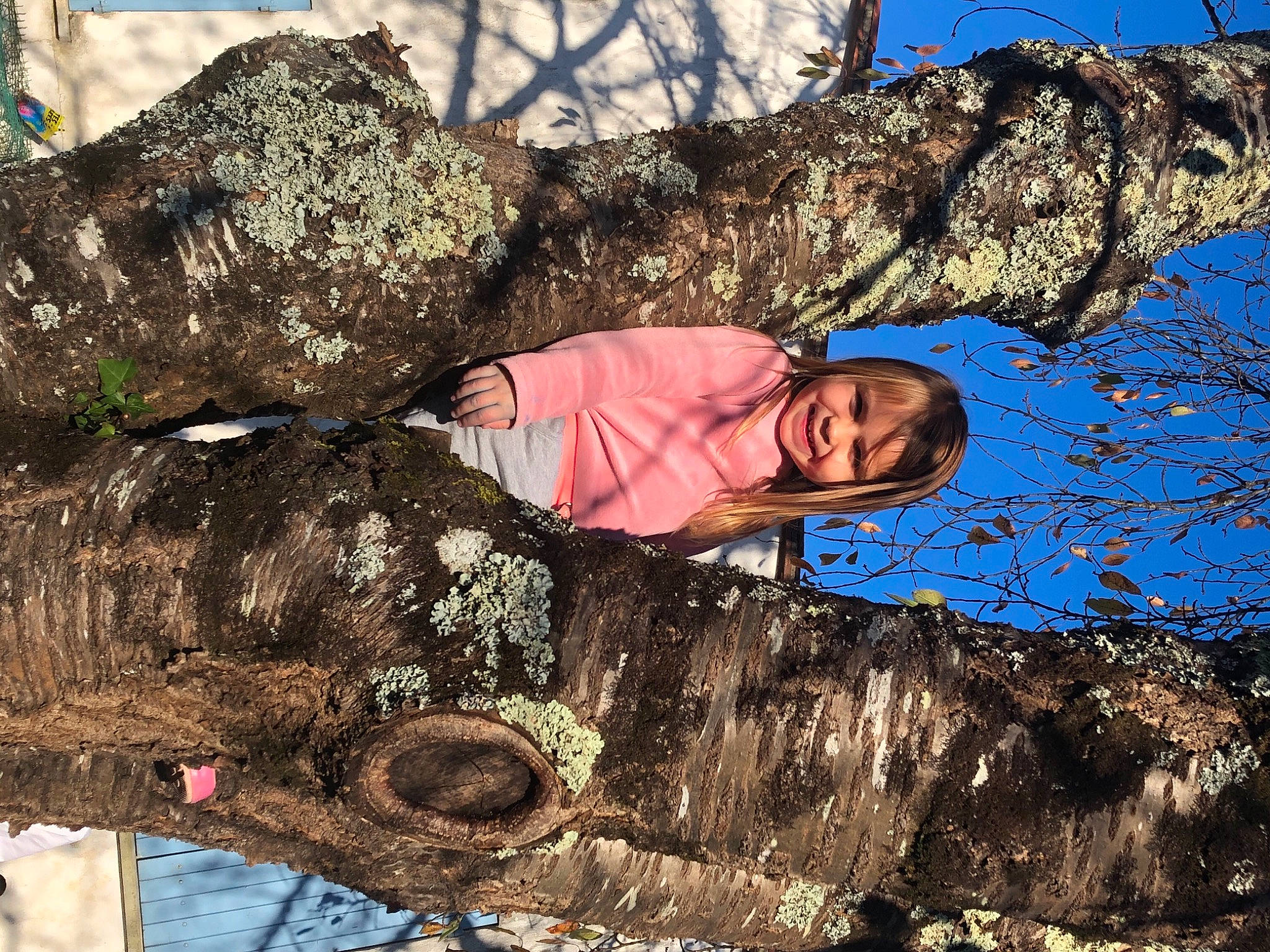 Kelya participe au concours pour gagner de l'argent avec cette photo : adaptation, botany, branch, fun, geology, grass, happy, joy, leisure, organism, people_in_nature, person, plant, sky, soil, tree, trunk, twig, wilderness, winter