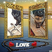 Princesse Et Marley a rejoint le concours — aidez-le/la à gagner de superbes lots ! animal, artistic, background, black_cat, decorative, digital_art, feline, floating, framed_photo, golden_frame, heart_shape, love_text, mirror, pet, reflection, romantic, sparkles, surreal, water, wooden_surface