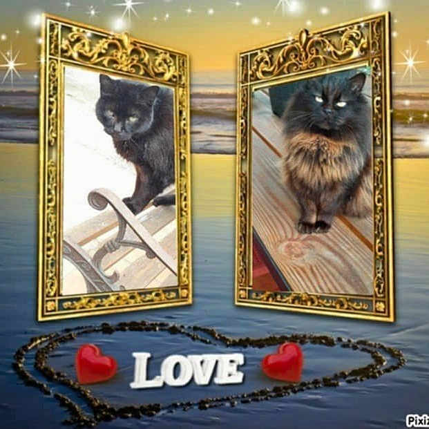 Princesse Et Marley