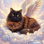 Princesse participe au concours pour gagner de l'argent avec cette photo : cat, angel_wings, clouds, stars, fluffy, fantasy, pastel_colors, glowing, decorative_bowl, floating, dreamy, sky, feline, mythical, soft_light, illustration, whiskers, yellow_eyes, relaxing, magic