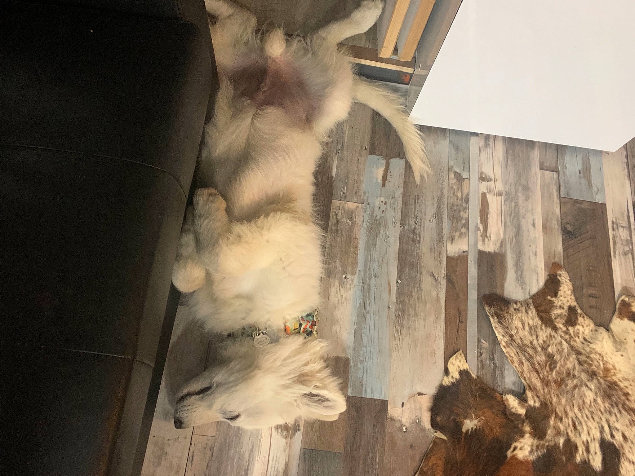 Ace participe au concours pour gagner de l'argent avec cette photo : art, building, facade, flooring, formation, freezing, grey, hardwood, house, landscape, rock, room, sculpture, sky, tree, trunk, visual_arts, water, winter, wood