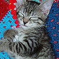 Sylvie B.