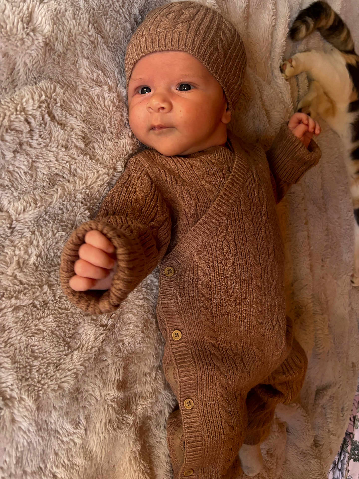Jules a rejoint le concours — aidez-le/la à gagner de superbes lots ! baby, infant, knitted_clothing, brown_outfit, hat, blanket, fluffy, cat, pet, stretching, indoor, cozy, cute, child, newborn, portrait, laying_down, warm, soft_texture, relaxed