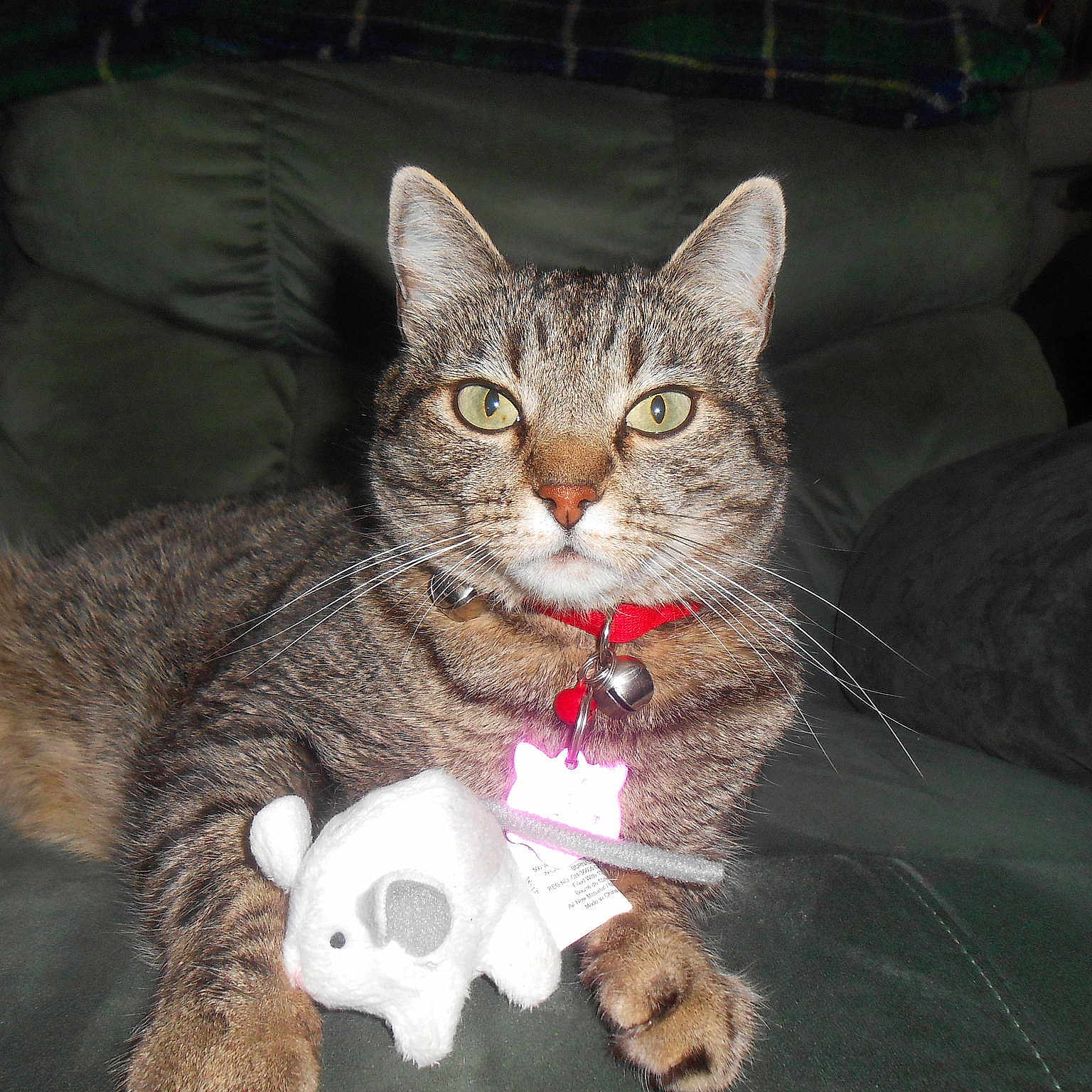 Sally joined the competition — help win amazing prizes!