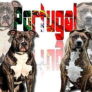 Djuna a rejoint le concours — aidez-le/la à gagner de superbes lots !