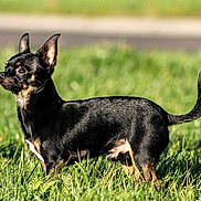 Héliote participe au concours pour gagner de l'argent avec cette photo :