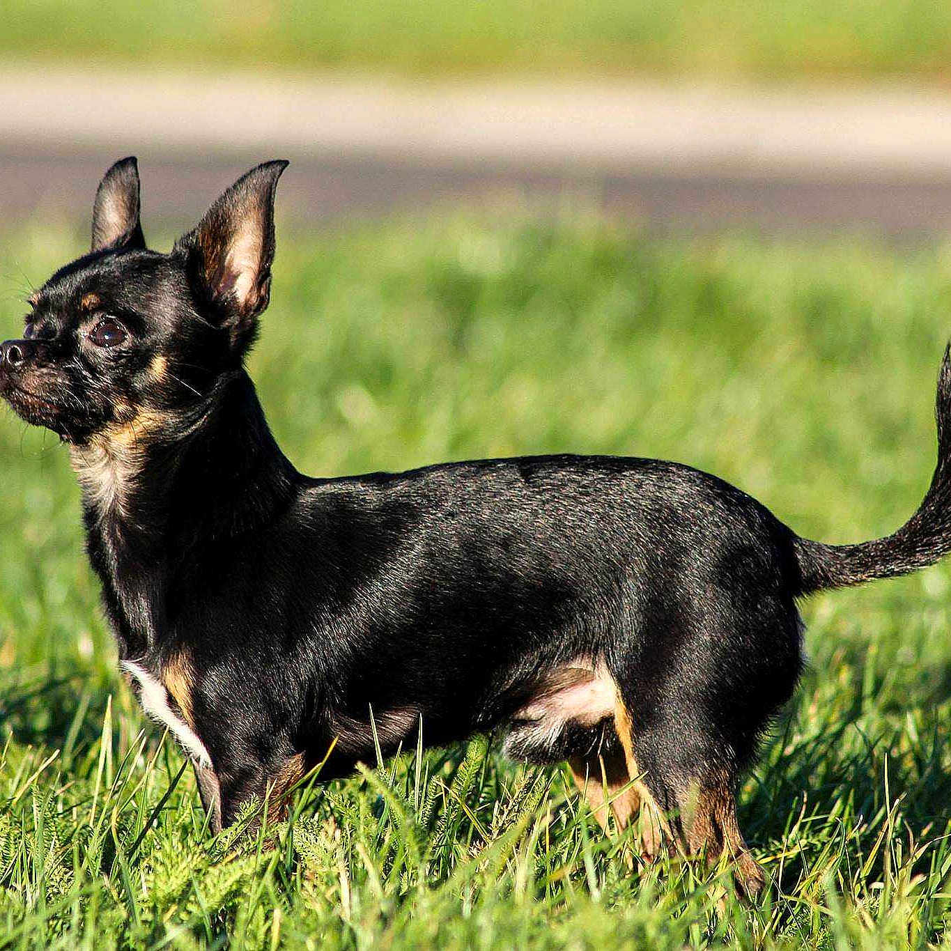 Héliote participe au concours pour gagner de l'argent avec cette photo :