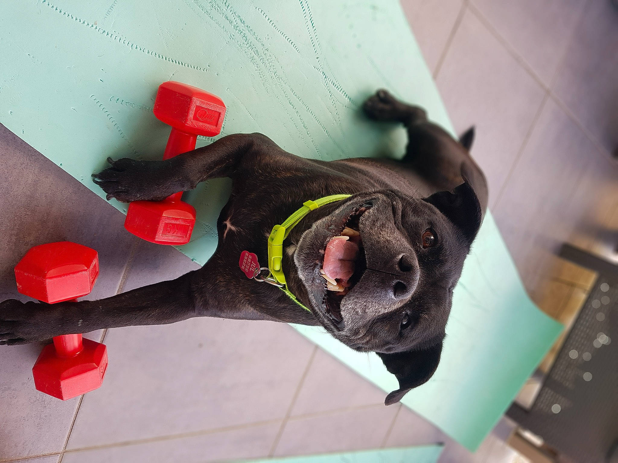 Jul participe au concours pour gagner de l'argent avec cette photo : adventure, art, auto_part, automotive_design, carmine, costume, eyewear, fictional_character, flooring, fun, human_leg, magenta, paper, pattern, personal_protective_equipment, room, thigh, toy, visual_arts, wire