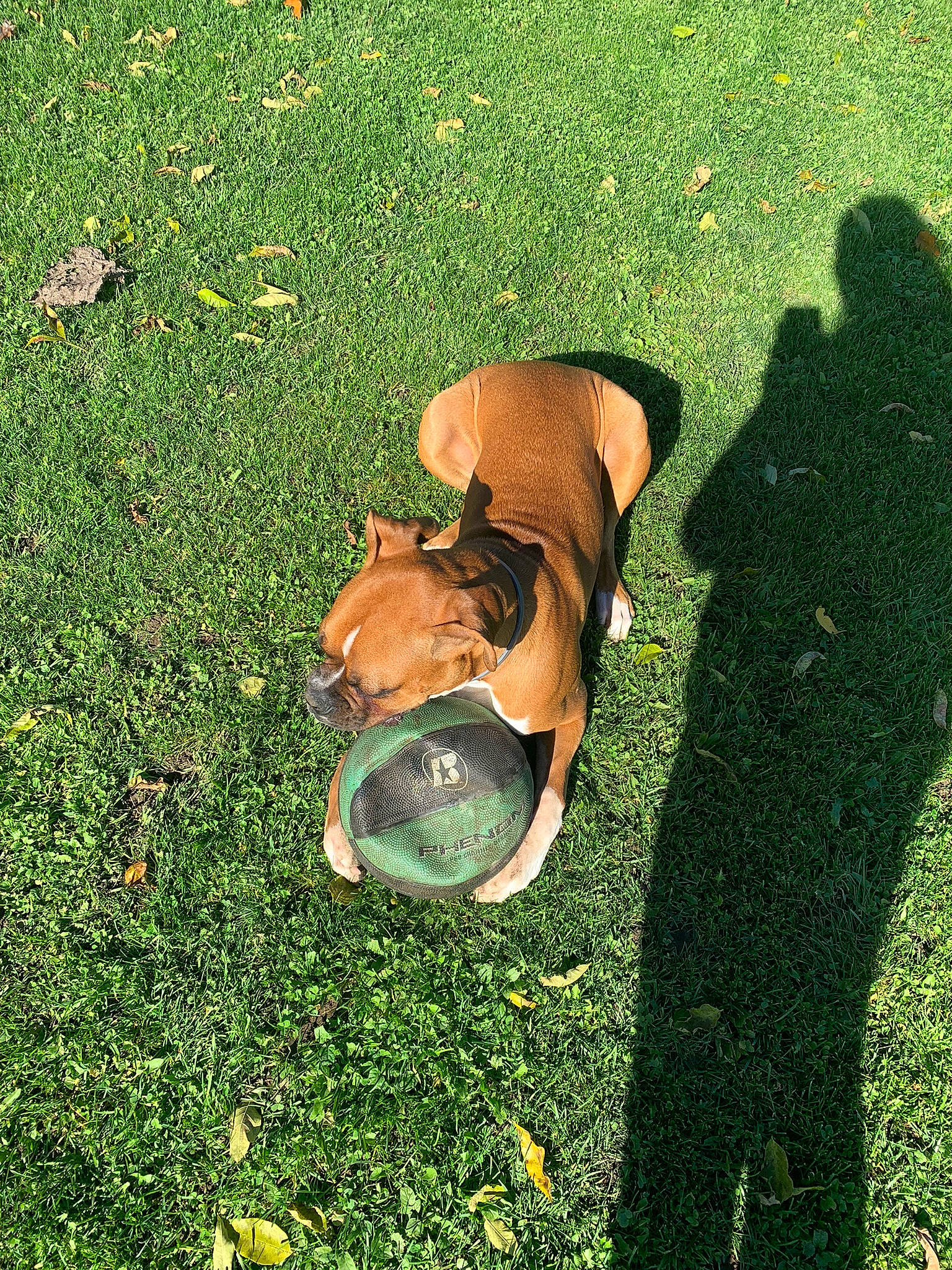 Bob is registered to the contest to win money with this photo: fun, grass, grass_family, grassland, groundcover, happy, human_leg, landscape, lawn, leaf, leisure, meadow, natural_environment, people_in_nature, plant, shadow, shrub, sunlight, tints_and_shades, woody_plant