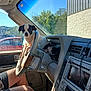 dog, steering_wheel, car_interior, person, legs, window, red_car, trees, blue_sky, dashboard, car_seat, sunlight, vehicle, pet, small_dog, black_and_white, curious, parked_car, human, daytime