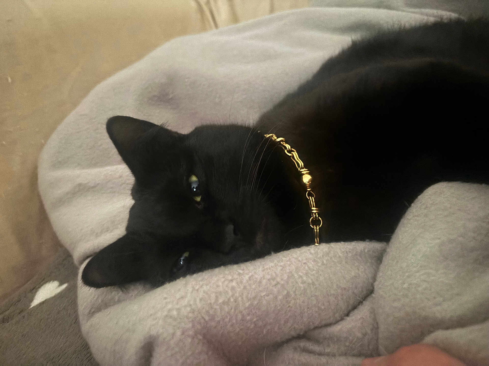 Zina