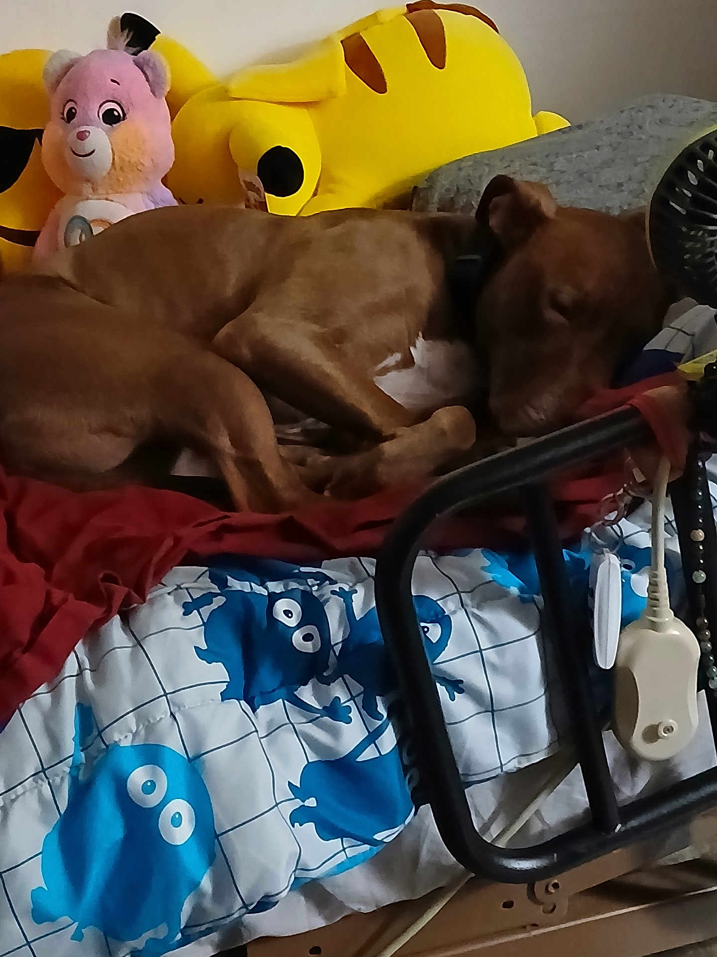 Cinnamon