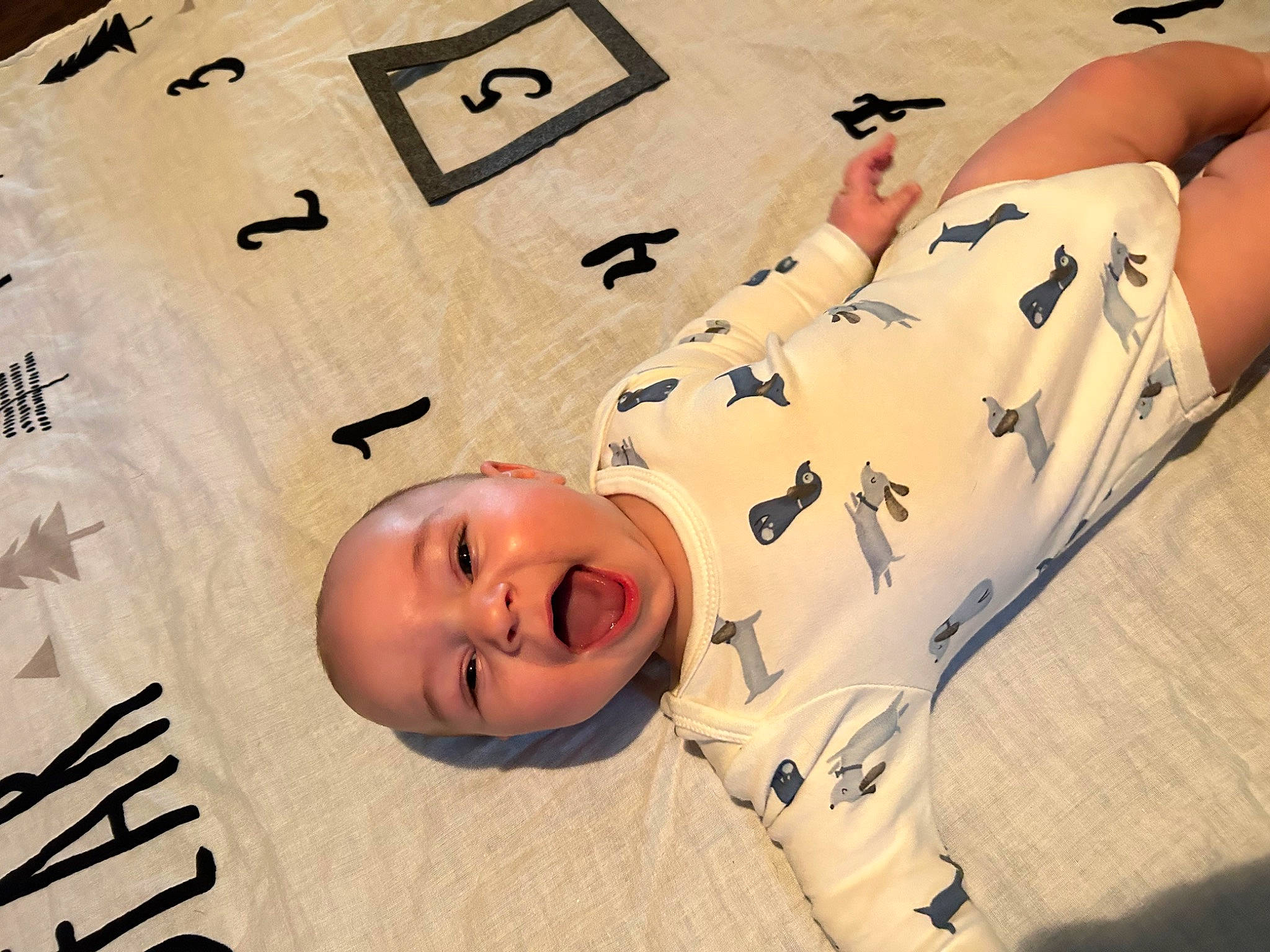 Westen is registered to the contest to win money with this photo: baby, baby_toddler_clothing, carmine, child, comfort, design, facial_expression, flooring, font, fun, happy, human_leg, linens, pattern, person, room, sleeve, smile, textile, thigh