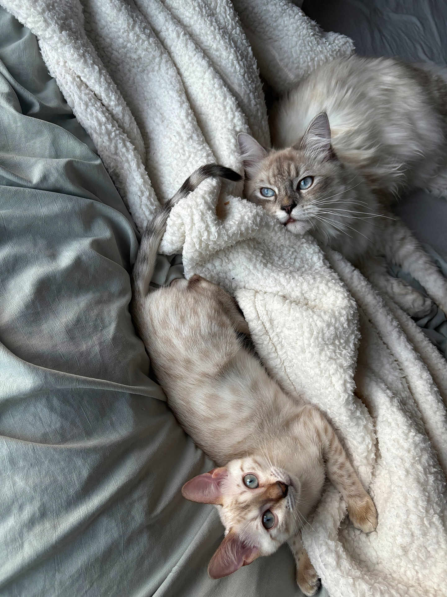 Casper N Nala