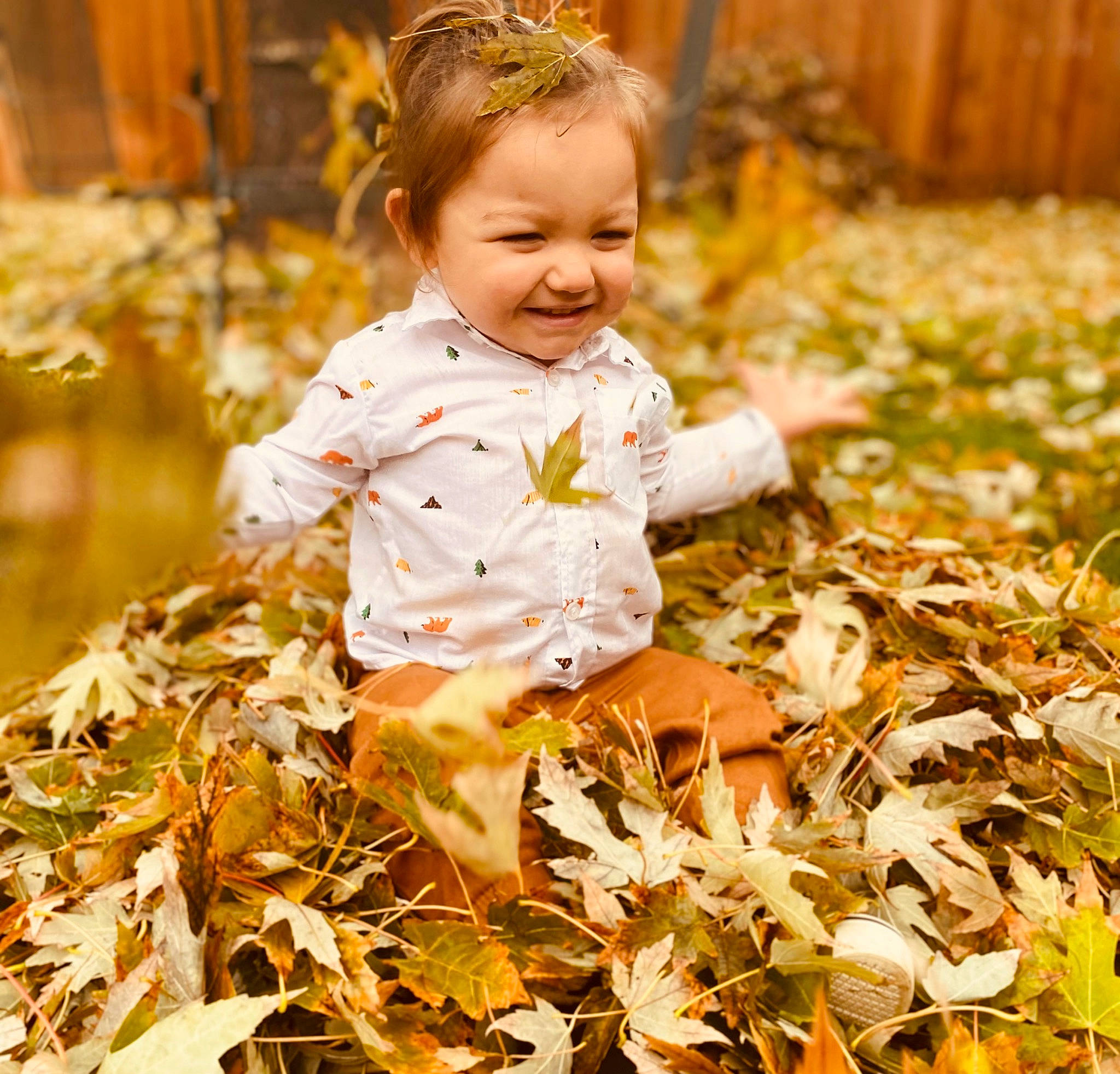 Eric is registered to the contest to win money with this photo: autumn, baby, baby_toddler_clothing, child, deciduous, forest, grass, happy, joy, leaf, people_in_nature, person, plant, portrait_photography, sitting, smile, sunlight, tints_and_shades, toddler, wood