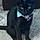 Archie