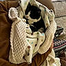 Cici is registered to the contest to win money with this photo: cat, sleeping, blanket, cozy, polka_dot, black_and_white, furniture, person, arm, sweater, patterned_pants, carpet, home, indoor, comfort, pet, warm, relaxation, soft_texture, nap