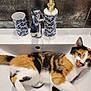 cat, calico_cat, sink, bathroom, faucet, soap_dispenser, cup, white_sink, chrome, licking, tongue_out, fur, domestic, pet, relaxed, indoor, clean, patterned, blue, leaf_design