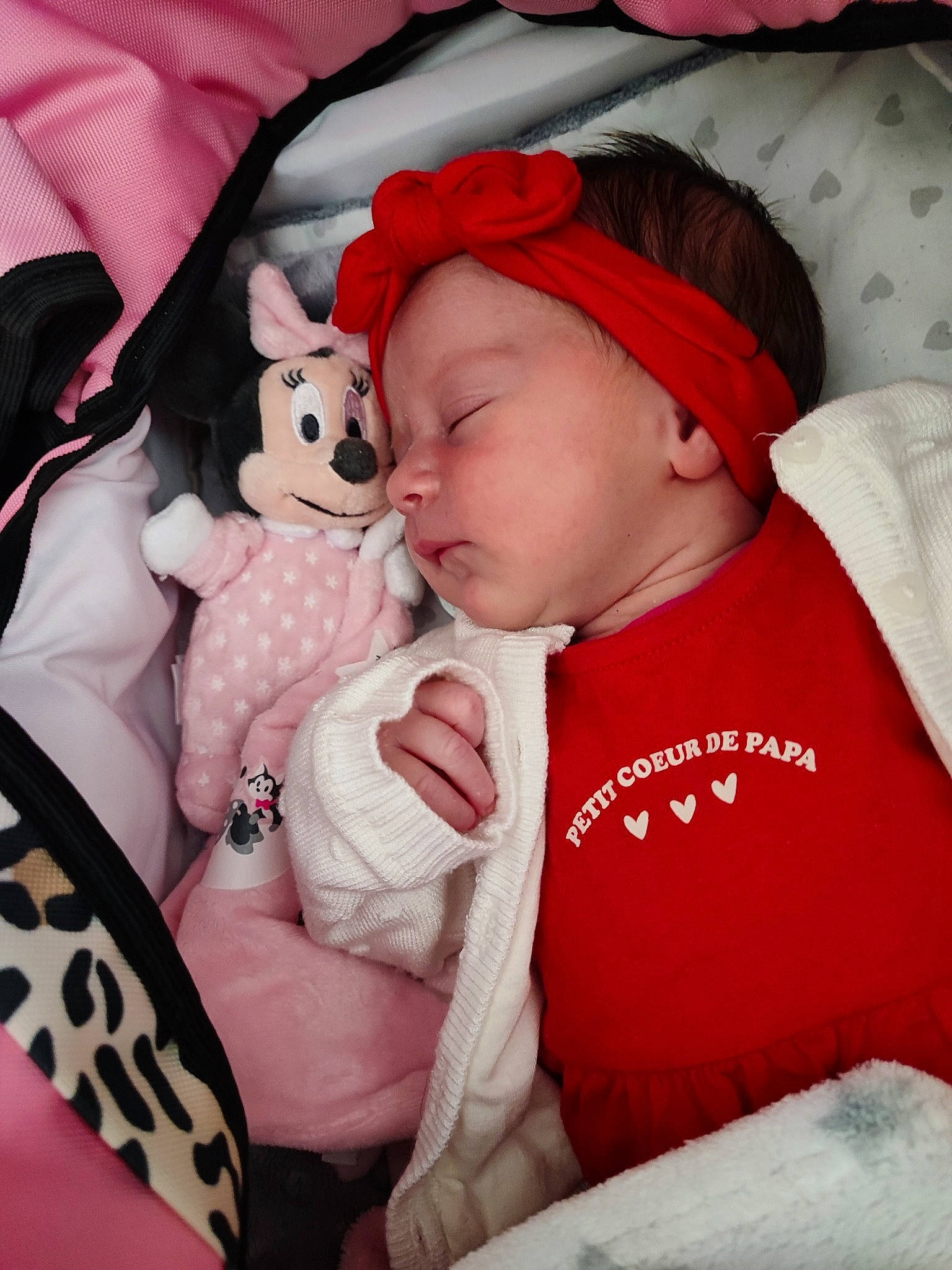 Inès participe au concours pour gagner de l'argent avec cette photo : baby, baby_products, baby_sleeping, baby_toddler_clothing, cap, car_seat, carmine, child, comfort, fur, lap, linens, nap, pattern, person, pink, sitting, sleep, sleeve, stuffed_toy