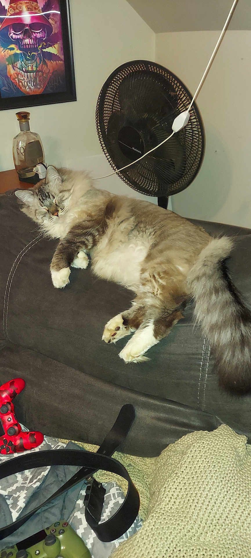 Bootsie