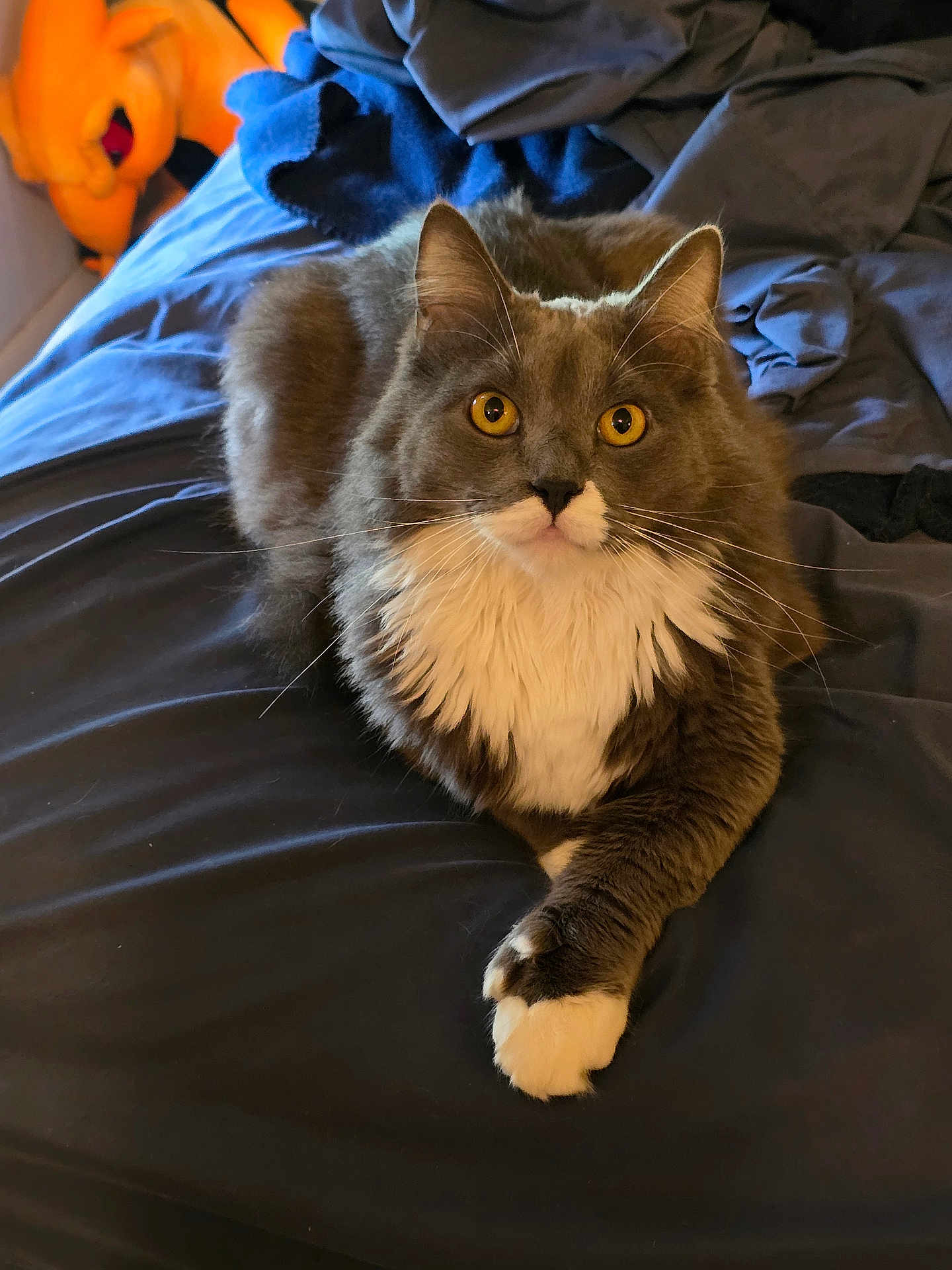 Buster