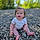 Evalyn