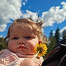 baby, blue_sky, child, closeup, clouds, curly_hair, cute, dandelion, face, flower, hand, innocence, nature, outdoor, person, pink_sweater, portrait, soft_light, sunlight, trees